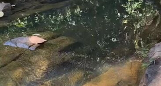 Mistress V Black Nicknamed Mistressvblack Onlyfans After A Long Trail And Walk The Reward Fresh And Cold Water From The Waterfall You Should Be Her