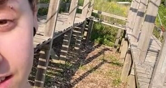 Missarcanaplus Nicknamed Missarcanaplus Onlyfans The Garden 2