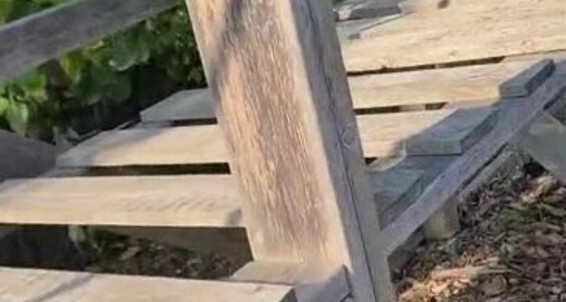 Missarcanaplus Nicknamed Missarcanaplus Onlyfans The Garden 2